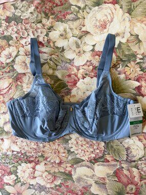 Chantelle Paris Bra, size 38DD, blue, comfort back.